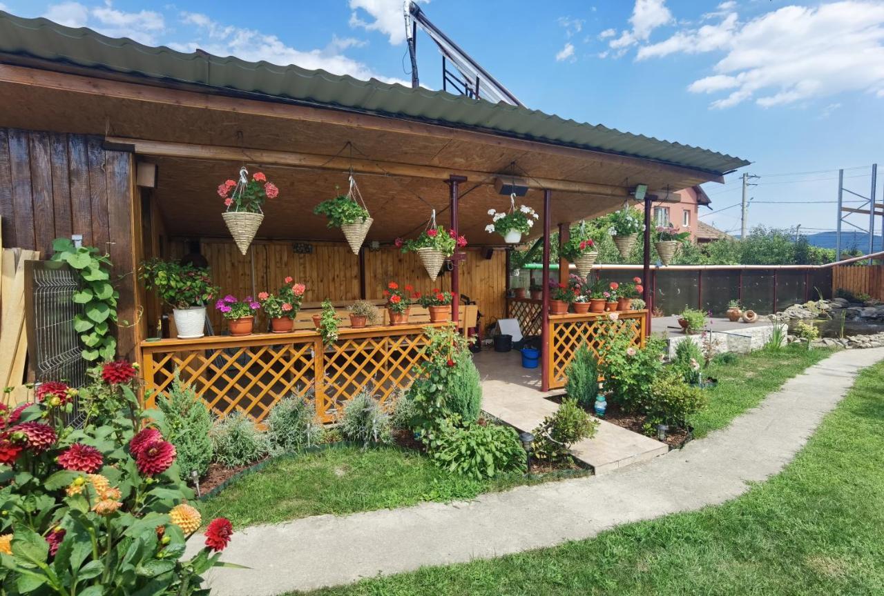 Villa Casa Reds à Râmnicu Vâlcea Extérieur photo