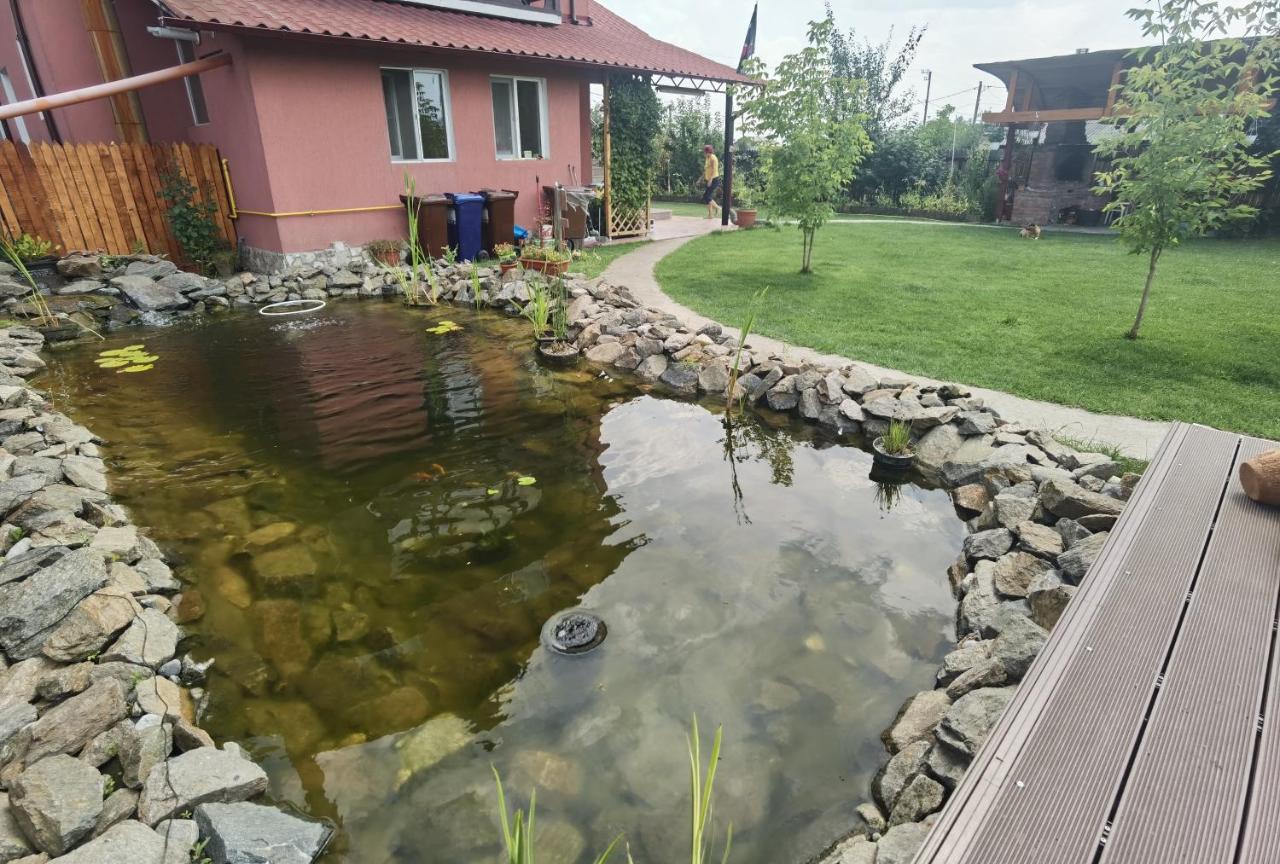 Villa Casa Reds à Râmnicu Vâlcea Extérieur photo